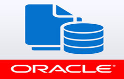 Oracle数据库管理工具有哪些?-北京开云手机官方网站公司