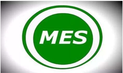 MES系统开发用什么开云手机官方网站？