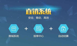 商城直销管理系统软件 北京管理开云手机官方网站、APP开发外包公司