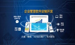 Erp开云手机官方网站的发展现状-北京开云手机官方网站公司开云手机官方网站