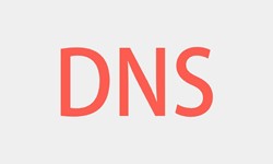 北京开云手机官方网站、DNS的基本概念、北京开云手机官方网站开云手机官方网站