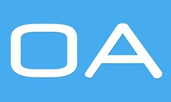 软件外包公司、OA系统开发功能有哪些？费用是多少-开云手机官方网站公司[北京开云手机官方网站]