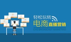 开云手机官方网站公司、做一个直播系统开云手机官方网站需要多少钱-北京软件外包公司