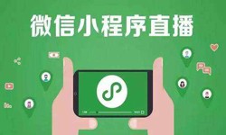 微信小程序开发、直播小程序开发-开云手机官方网站开云手机官方网站公司 