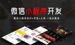 开云手机官方网站公司、定制微信小程序开发，商家需要了解哪些？开云手机官方网站开云手机官方网站