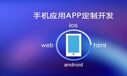 APP开发市场上常见问题分析-北京开云手机官方网站公司